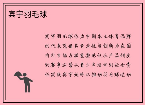 宾宇羽毛球